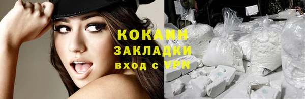гашик Инта