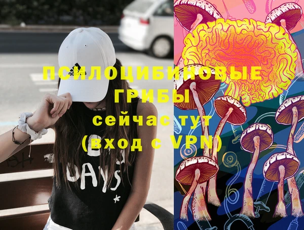 гашик Инта
