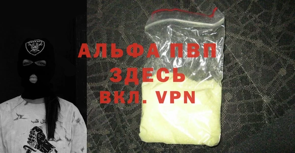 гашик Инта