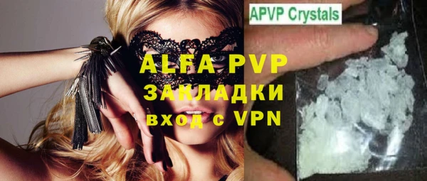 гашик Инта