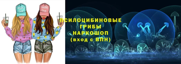 гашик Инта