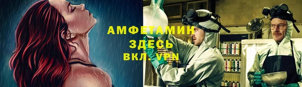 гашик Инта