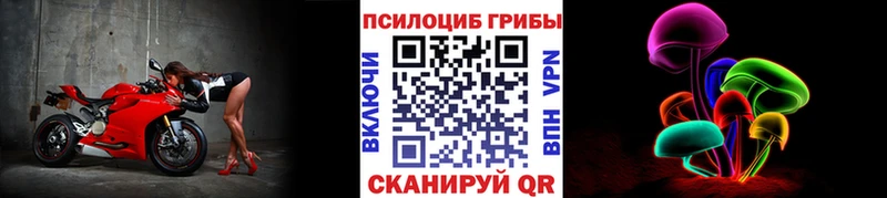 Купить где  Тайшет  Галлюциногенные грибы MAGIC MUSHROOMS 